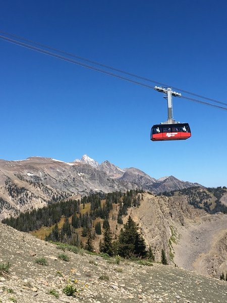 On the final ridge with tram and The Grand Teton in background.