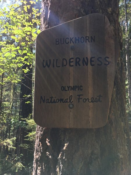 A welcome sign for the Buckhorn Wilderness.