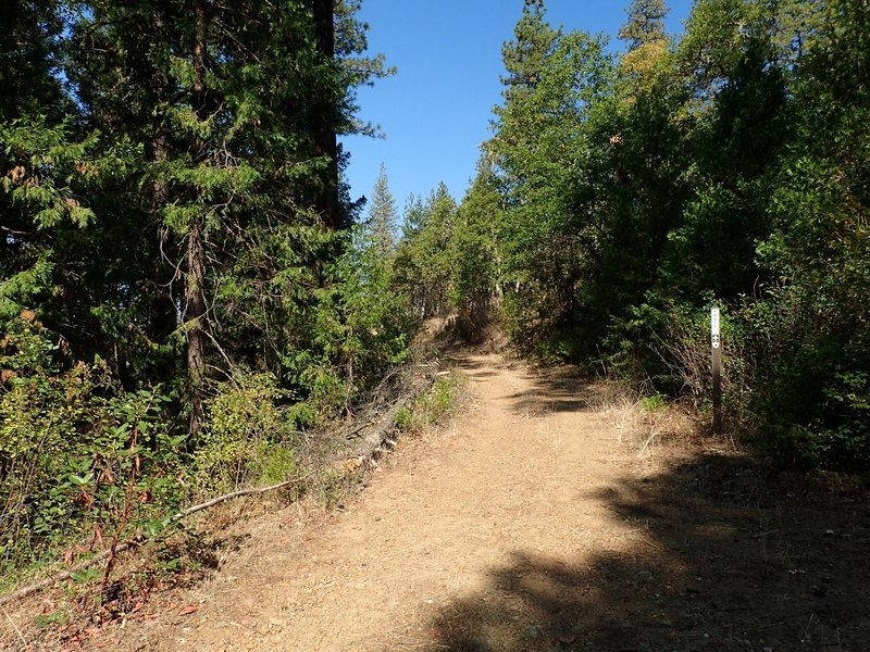 The Jack-Ash is an old road near its west end