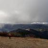 The view from Anderson Butte