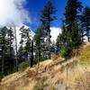 Descending toward the Greenstone Trailhead