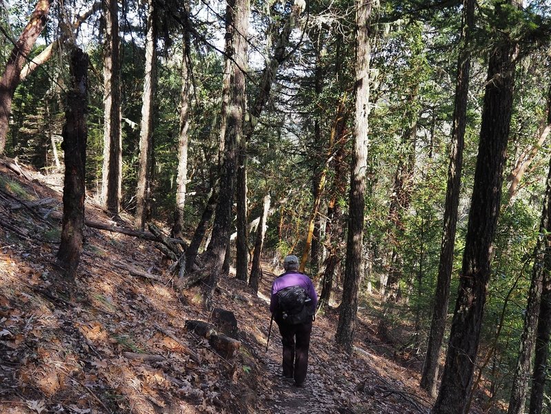 Descending from Upper Twin Peak