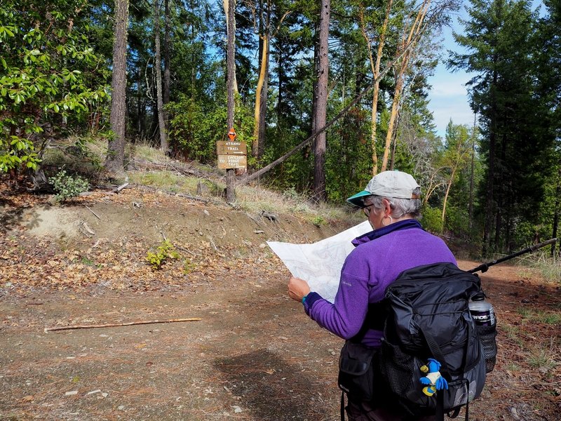 Considering our options near the Atsahu / Jackson Ridge Trail junction