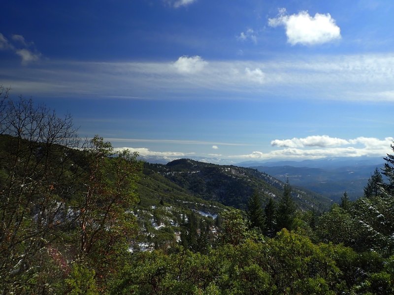 The view from the western end of the Halls of Manzanita Trail