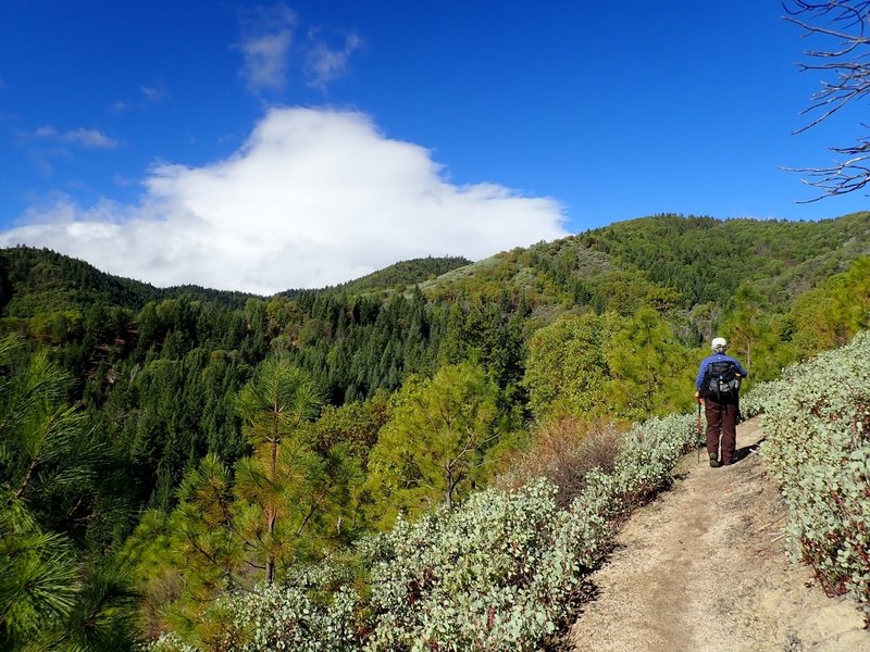 The view from the eastern side of the Halls of Manzanita Trail