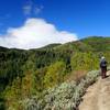 The view from the eastern side of the Halls of Manzanita Trail