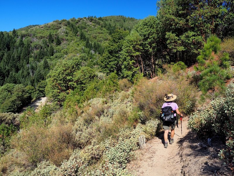 Another view from the eastern side of the Halls of Manzanita Trail