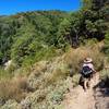 Another view from the eastern side of the Halls of Manzanita Trail