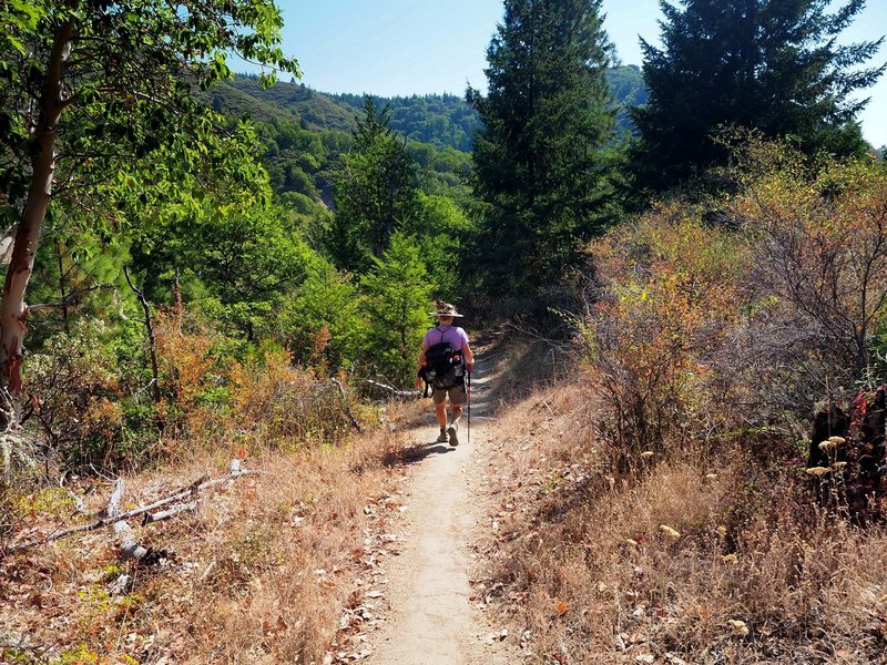 Along the Naversen Family Trail