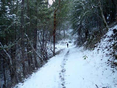 The Ol' Miners' Trail in winter