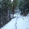 The Ol' Miners' Trail in winter