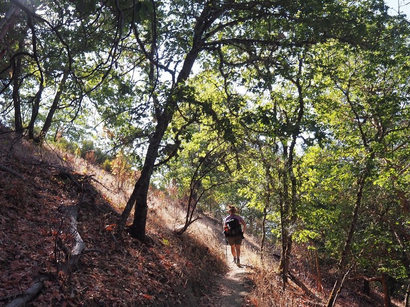 Climbing up the Siskiyou Trail