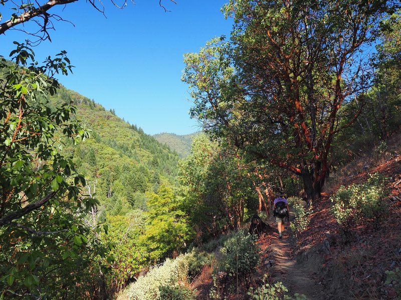 Along the Siskiyou Trail