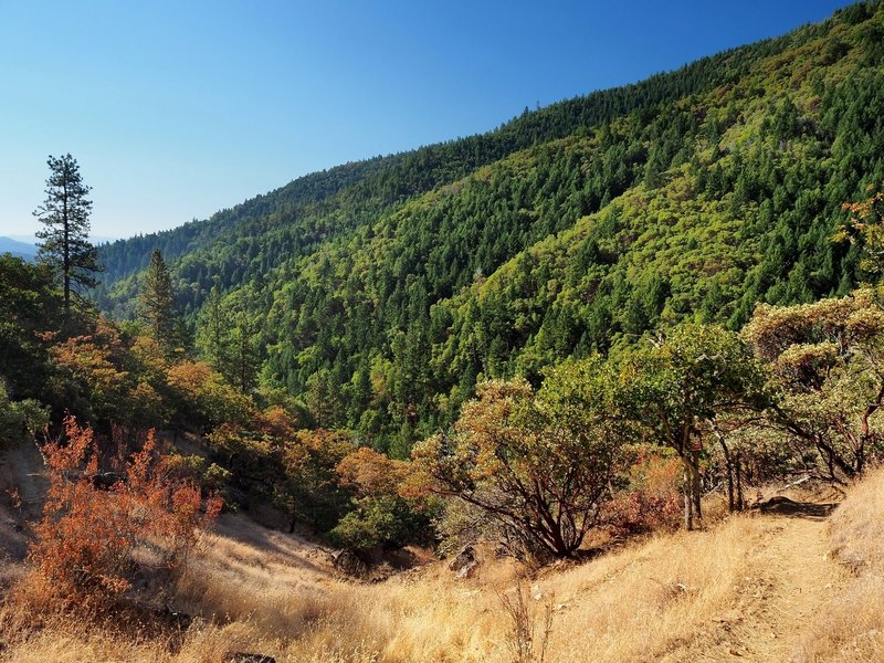 A view from the Siskiyou Trail