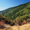 A view from the Siskiyou Trail