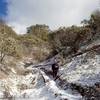 Ascending the Pipsissewa Trail in winter