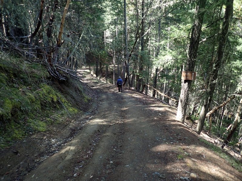 Descending the Arrowhead Pass Trail near its junction with the Atsahu Trail