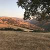 Looking south from Cerro Este Rd by McCorkle Trail