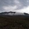 Looking east from the trail on a rainy morning