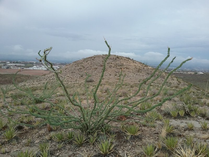 View of little Moab