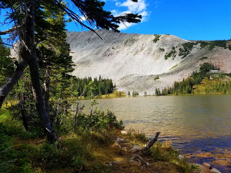 Shore of Mitchell Lake