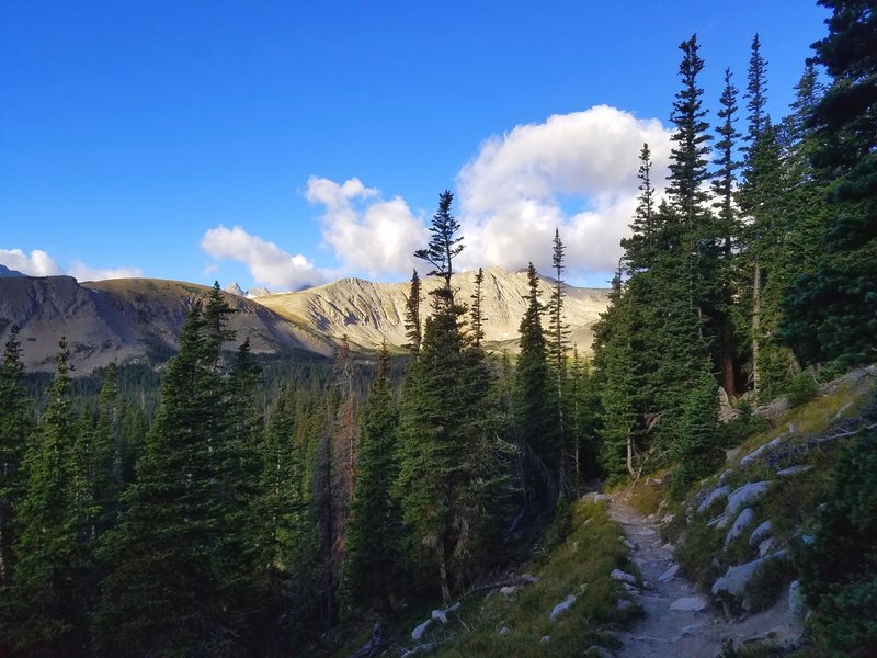 Early morning along the trail