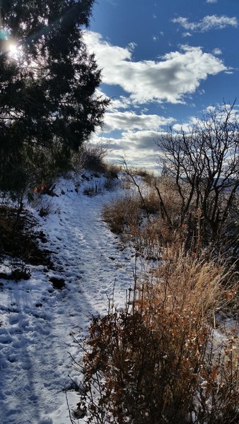 Crisp winter day