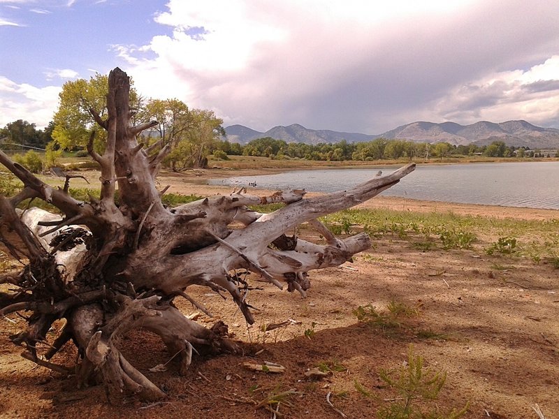 looking west from the south shore near picnic area