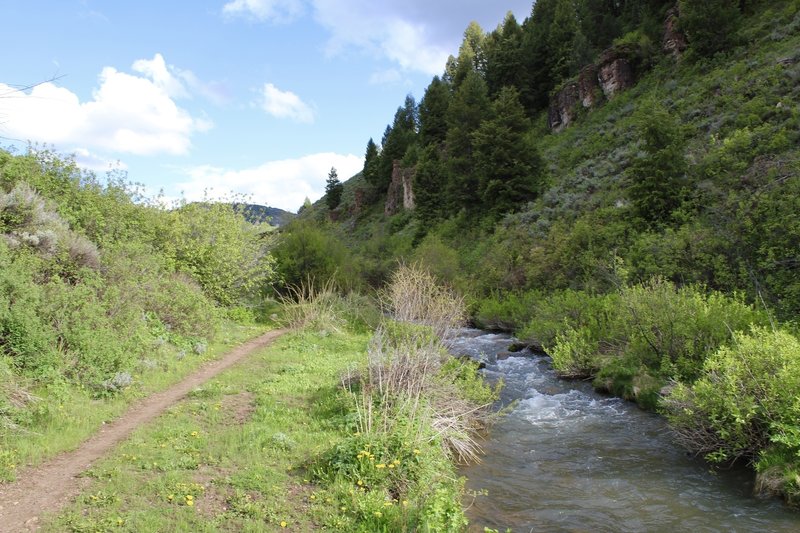 Temple Fork Sawmill Trail