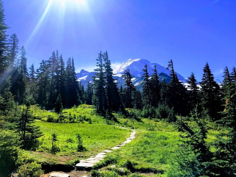 View of Mt Rainier from Spray Park