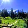 View of Mt Rainier from Spray Park