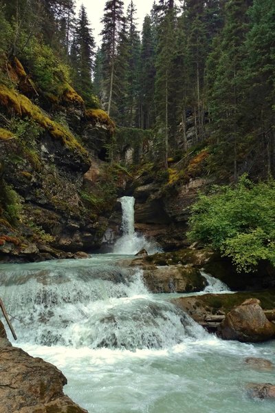 Lambe Creek drops over a waterfall and cascades down into the Blaeberry River.