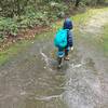 Trail condition on a rainy day, no mud