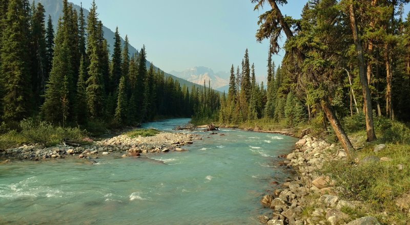 Poboktan Creek along Poboktan Pass Trail. Looking downstream (southwest) near the Maligne Pass Trail junction.