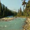 Poboktan Creek along Poboktan Pass Trail. Looking downstream (southwest) near the Maligne Pass Trail junction.