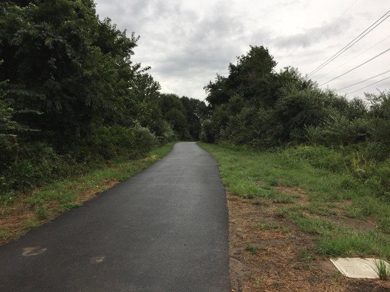 A paved section of the Jack A. Markell Trail