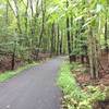 A wooded section of the Jack A. Markell Trail