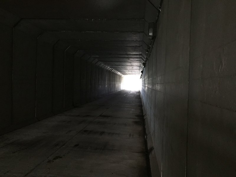 Walking through this trunnel is part of the trail.