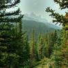 Waterfall Peaks is seen in the distance to the west, from Poboktan Pass Trail as the trail runs through the beautiful fir forest.