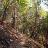 Along the Boulder Trail