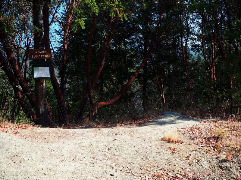 Blazer Junction, where Sofie's Trail and the Jackson Ridge Trail meet.