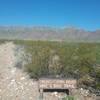 View of Franklin Mountains from the trail