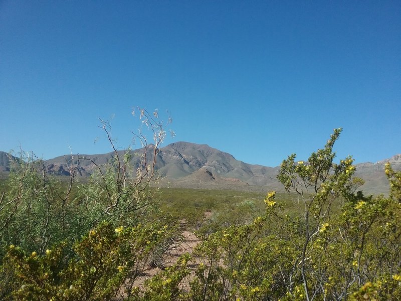 View of North Franklin Peak