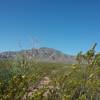 View of North Franklin Peak