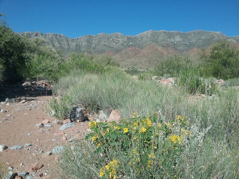 Looking west from the trail