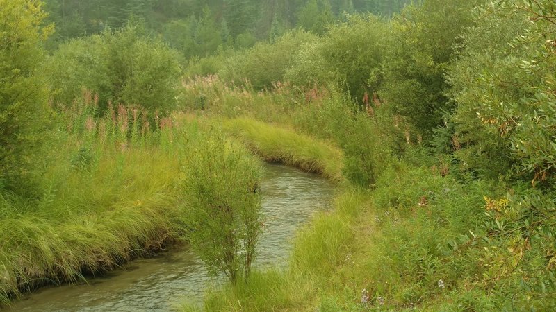 A small creek is crossed by Valley of the Five Lakes Trail.