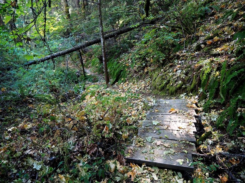 One of the foot bridges on the Shade Creek Trail