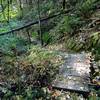 One of the foot bridges on the Shade Creek Trail