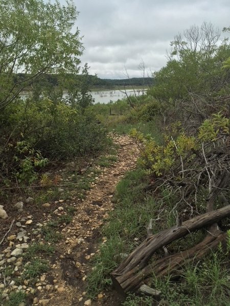 Goodwater Loop Trail near Russel Park