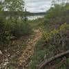 Goodwater Loop Trail near Russel Park